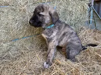 processed/71db262a-c543-45fa-bcfc-563c804dee44/listing/31712e9a-a513-42b3-ae9b-add9fc7f3e7c/a817b5da-e1ba-4f30-b9b8-9e6feef85dc6