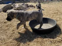 processed/71db262a-c543-45fa-bcfc-563c804dee44/listing/31712e9a-a513-42b3-ae9b-add9fc7f3e7c/df446893-3121-4f19-bca9-20034452890b