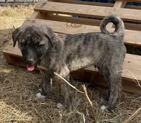 processed/71db262a-c543-45fa-bcfc-563c804dee44/listing/31712e9a-a513-42b3-ae9b-add9fc7f3e7c/e01f2826-5415-4168-801e-ac6438fcf117