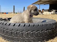 processed/71db262a-c543-45fa-bcfc-563c804dee44/listing/33833ff2-a538-4315-aa91-184dfa7f3950/28011a4e-275a-4417-92c5-1d7092985f3b