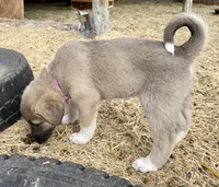 processed/71db262a-c543-45fa-bcfc-563c804dee44/listing/33833ff2-a538-4315-aa91-184dfa7f3950/29dbe220-748d-4401-a4ab-3833a4a83da5