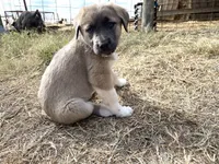 processed/71db262a-c543-45fa-bcfc-563c804dee44/listing/33833ff2-a538-4315-aa91-184dfa7f3950/3211c09e-8b8b-44fb-a6a8-743e169d6d24