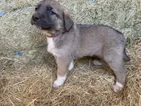 processed/71db262a-c543-45fa-bcfc-563c804dee44/listing/33833ff2-a538-4315-aa91-184dfa7f3950/4a062d52-062d-4a0d-9635-83ae7283a996