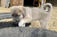 processed/71db262a-c543-45fa-bcfc-563c804dee44/listing/33833ff2-a538-4315-aa91-184dfa7f3950/9e9bb133-e951-425e-a3e3-a3c2e86c195e