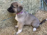 processed/71db262a-c543-45fa-bcfc-563c804dee44/listing/33833ff2-a538-4315-aa91-184dfa7f3950/a61d6ddf-a939-44c8-8c0b-6de3576cf147