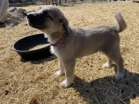 processed/71db262a-c543-45fa-bcfc-563c804dee44/listing/33833ff2-a538-4315-aa91-184dfa7f3950/f6bcc660-0762-4cce-8ca8-57ccda2f582d