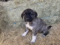 processed/71db262a-c543-45fa-bcfc-563c804dee44/listing/8d740695-b6df-48c3-9a69-d20bbd348f73/0fe14ab1-d98b-4529-9afe-1c6f9565fdec