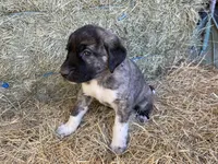 processed/71db262a-c543-45fa-bcfc-563c804dee44/listing/8d740695-b6df-48c3-9a69-d20bbd348f73/15c0b9aa-64e6-4886-9b5e-b9d8eb6480e6