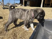 processed/71db262a-c543-45fa-bcfc-563c804dee44/listing/8d740695-b6df-48c3-9a69-d20bbd348f73/5aaa31b0-4bd4-4824-806b-565cc681e591