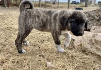 processed/71db262a-c543-45fa-bcfc-563c804dee44/listing/8d740695-b6df-48c3-9a69-d20bbd348f73/d6635584-d2bb-4f1a-8786-9bee693a85ce