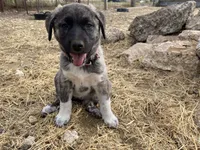 processed/71db262a-c543-45fa-bcfc-563c804dee44/listing/8d740695-b6df-48c3-9a69-d20bbd348f73/f2d1a8fb-dce4-42fc-816a-ef8e2d70d1ab