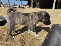 processed/71db262a-c543-45fa-bcfc-563c804dee44/listing/8d740695-b6df-48c3-9a69-d20bbd348f73/f81fd043-64f1-4455-bc33-4ba353a145a6