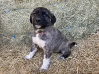 processed/71db262a-c543-45fa-bcfc-563c804dee44/listing/8d740695-b6df-48c3-9a69-d20bbd348f73/fd951132-3ccd-4da8-976c-330a00bb2d76