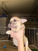 processed/71db6654-8937-425b-9406-4e347a4a3c60/listing/d477d1ce-191d-45b4-bb9f-28e46d0763c7/627544a2-1ac7-4f9e-85ba-f7a60354c485