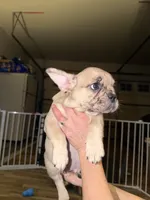 processed/71db6654-8937-425b-9406-4e347a4a3c60/listing/d477d1ce-191d-45b4-bb9f-28e46d0763c7/7d825496-1c39-4d38-8922-0559629b51fb