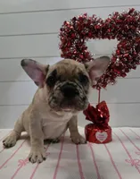 processed/71db6654-8937-425b-9406-4e347a4a3c60/listing/d477d1ce-191d-45b4-bb9f-28e46d0763c7/ca441bf0-daba-4078-b319-c58ef57413b5