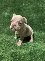 processed/71de4ba7-3bbc-427b-b5fe-46ed0b472cd6/listing/196af694-fe09-49fe-beab-bf662e1fa4c5/53d0754c-e44b-428a-a4b3-479a24769d89