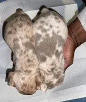 processed/71de4ba7-3bbc-427b-b5fe-46ed0b472cd6/listing/196af694-fe09-49fe-beab-bf662e1fa4c5/6a205ab0-81e0-41c2-b75c-d6858af124cf