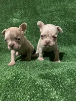 processed/71de4ba7-3bbc-427b-b5fe-46ed0b472cd6/listing/196af694-fe09-49fe-beab-bf662e1fa4c5/a087cf6c-0657-4c7b-bafa-061fe04aa10e