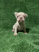 processed/71de4ba7-3bbc-427b-b5fe-46ed0b472cd6/listing/196af694-fe09-49fe-beab-bf662e1fa4c5/b6d7fa9a-7448-422c-b4dd-81b3a22f71ca