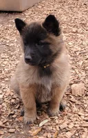 processed/71ed76c7-d520-4293-8e84-11fef01b6c19/listing/b2e16229-5346-45bd-ad6c-09ec77fbb2ec/5ae97b61-8205-41d6-85f1-d411188772c2