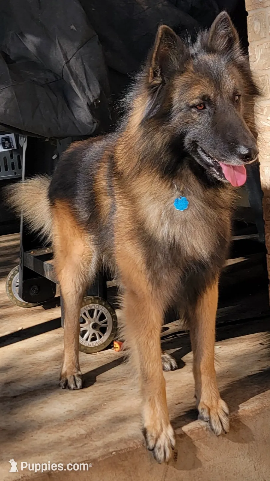 processed/71ed76c7-d520-4293-8e84-11fef01b6c19/listing/b2e16229-5346-45bd-ad6c-09ec77fbb2ec/5e5c7dce-1925-40ba-95dc-04fcda8ea7a9