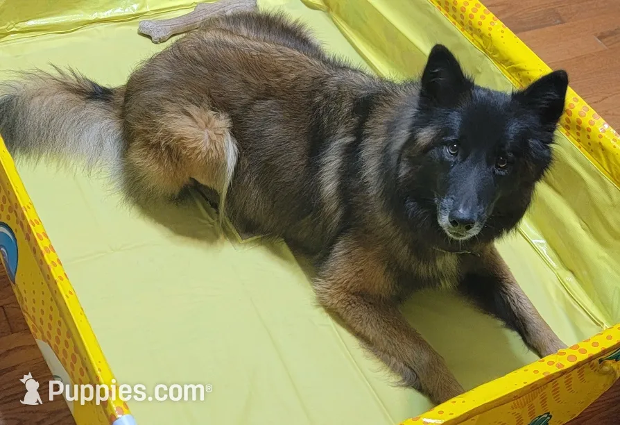 processed/71ed76c7-d520-4293-8e84-11fef01b6c19/listing/b2e16229-5346-45bd-ad6c-09ec77fbb2ec/c8e67ee0-0582-475d-9cc4-8ecff889d7f2