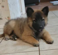 processed/71ed76c7-d520-4293-8e84-11fef01b6c19/listing/b9e8b6aa-914b-4f49-9002-dc5806006e60/09a8f806-0d20-4164-98ce-465e16098ff8