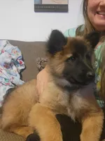 processed/71ed76c7-d520-4293-8e84-11fef01b6c19/listing/b9e8b6aa-914b-4f49-9002-dc5806006e60/36e7e007-cc79-4caa-b3d5-1a21f5529384