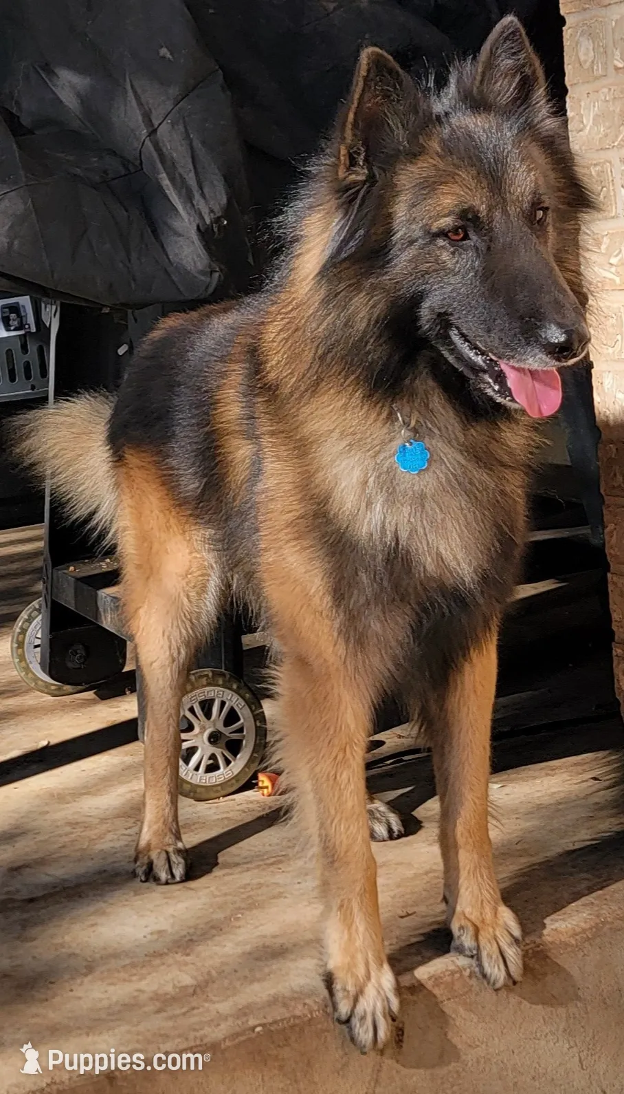 processed/71ed76c7-d520-4293-8e84-11fef01b6c19/listing/b9e8b6aa-914b-4f49-9002-dc5806006e60/9c2abe41-27af-4af9-8011-e744f7fc57cf