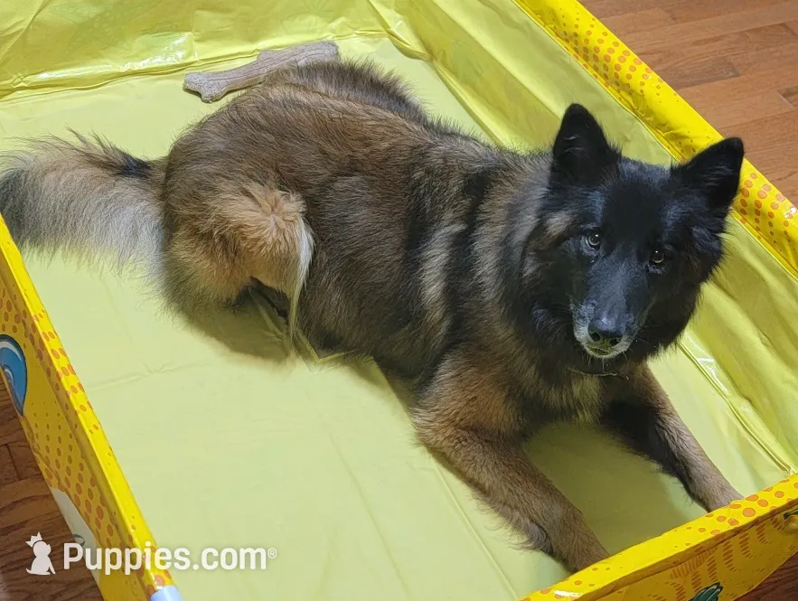 processed/71ed76c7-d520-4293-8e84-11fef01b6c19/listing/b9e8b6aa-914b-4f49-9002-dc5806006e60/d8deca98-b32a-41b2-ad9c-e3ebd394a191