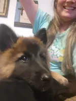 processed/71ed76c7-d520-4293-8e84-11fef01b6c19/listing/b9e8b6aa-914b-4f49-9002-dc5806006e60/e9139cc9-176e-41e9-a660-0ce78c6853a3