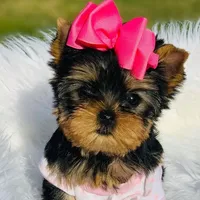 processed/71f34e7b-6980-425e-9fdb-4b7ff942edff/facility/017dc082-2eb2-41d1-824f-f2b6be199357