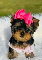 processed/71f34e7b-6980-425e-9fdb-4b7ff942edff/facility/017dc082-2eb2-41d1-824f-f2b6be199357