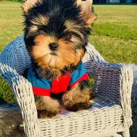 processed/71f34e7b-6980-425e-9fdb-4b7ff942edff/facility/1e1f2fc3-7b7a-419c-950a-42b1a856f8bf