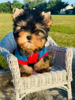 processed/71f34e7b-6980-425e-9fdb-4b7ff942edff/facility/1e1f2fc3-7b7a-419c-950a-42b1a856f8bf