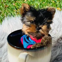 processed/71f34e7b-6980-425e-9fdb-4b7ff942edff/facility/7932d9bf-e7f0-4d5c-ac78-4bf51ea80838