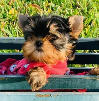 processed/71f34e7b-6980-425e-9fdb-4b7ff942edff/facility/9b85fc5e-384a-4d3d-9ced-f1db8f1f9465