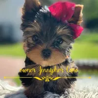 processed/71f34e7b-6980-425e-9fdb-4b7ff942edff/facility/a2f31548-a425-40dd-bd23-984119294477