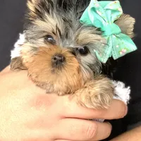 processed/71f34e7b-6980-425e-9fdb-4b7ff942edff/facility/a795120e-27a6-434e-a059-f468b7fa3ea5