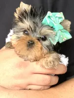 processed/71f34e7b-6980-425e-9fdb-4b7ff942edff/facility/a795120e-27a6-434e-a059-f468b7fa3ea5