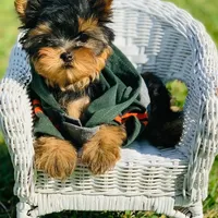 processed/71f34e7b-6980-425e-9fdb-4b7ff942edff/facility/a8e72f5b-9914-49db-b20d-5e1783e5eea7