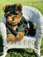 processed/71f34e7b-6980-425e-9fdb-4b7ff942edff/facility/a8e72f5b-9914-49db-b20d-5e1783e5eea7