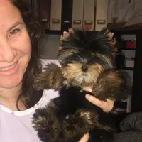 processed/71f34e7b-6980-425e-9fdb-4b7ff942edff/facility/bf5c8e95-20ac-42b5-932f-537e9c494979