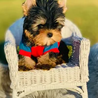 processed/71f34e7b-6980-425e-9fdb-4b7ff942edff/facility/c0268a4d-a01b-46c4-8b28-a0be99937c17