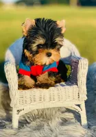 processed/71f34e7b-6980-425e-9fdb-4b7ff942edff/facility/c0268a4d-a01b-46c4-8b28-a0be99937c17