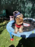 processed/71f34e7b-6980-425e-9fdb-4b7ff942edff/listing/3d9ac93d-c4cc-42ce-a31d-26408e0c7c31/0d9682c2-0ee3-41f1-819a-361c423f9ca8