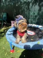 processed/71f34e7b-6980-425e-9fdb-4b7ff942edff/listing/3d9ac93d-c4cc-42ce-a31d-26408e0c7c31/8d007958-80cc-4603-a3d4-bcbe7e2c9f83