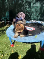 processed/71f34e7b-6980-425e-9fdb-4b7ff942edff/listing/3d9ac93d-c4cc-42ce-a31d-26408e0c7c31/ee27429a-714d-4f7c-baf8-c7d853bca549