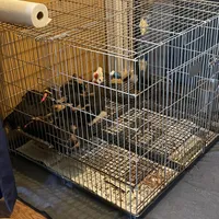 processed/71f465d8-d514-4705-99ef-d4f8f8c189eb/facility/780a7f52-86ab-4191-9873-74fb81bfe9d8